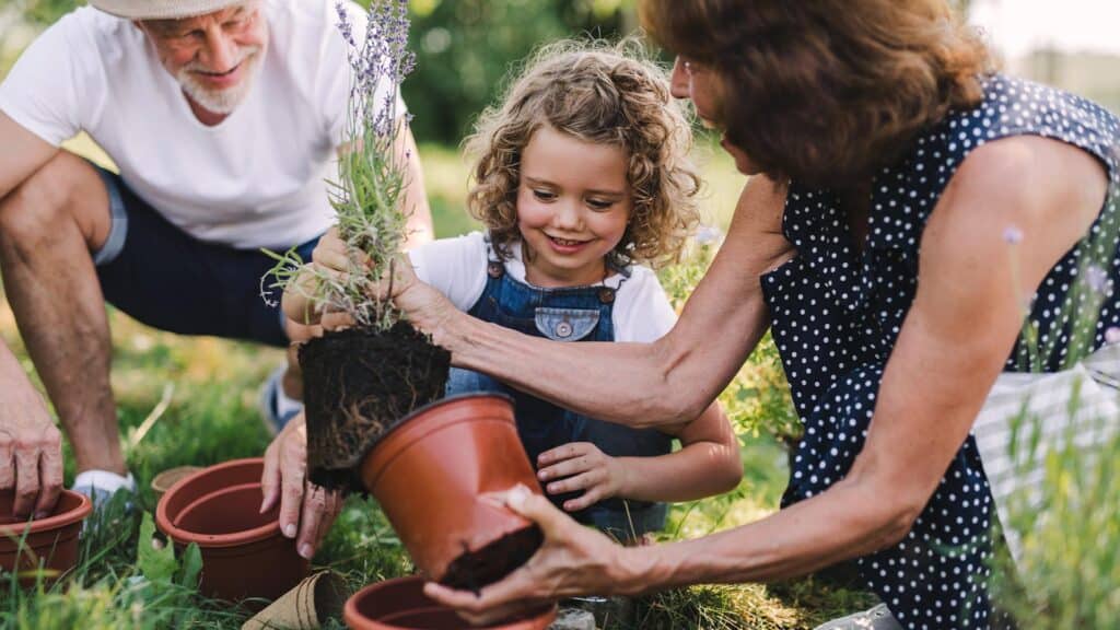 Benefits and health risks of gardening 1