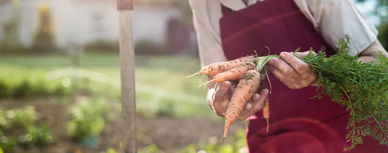 Woman gardening 1