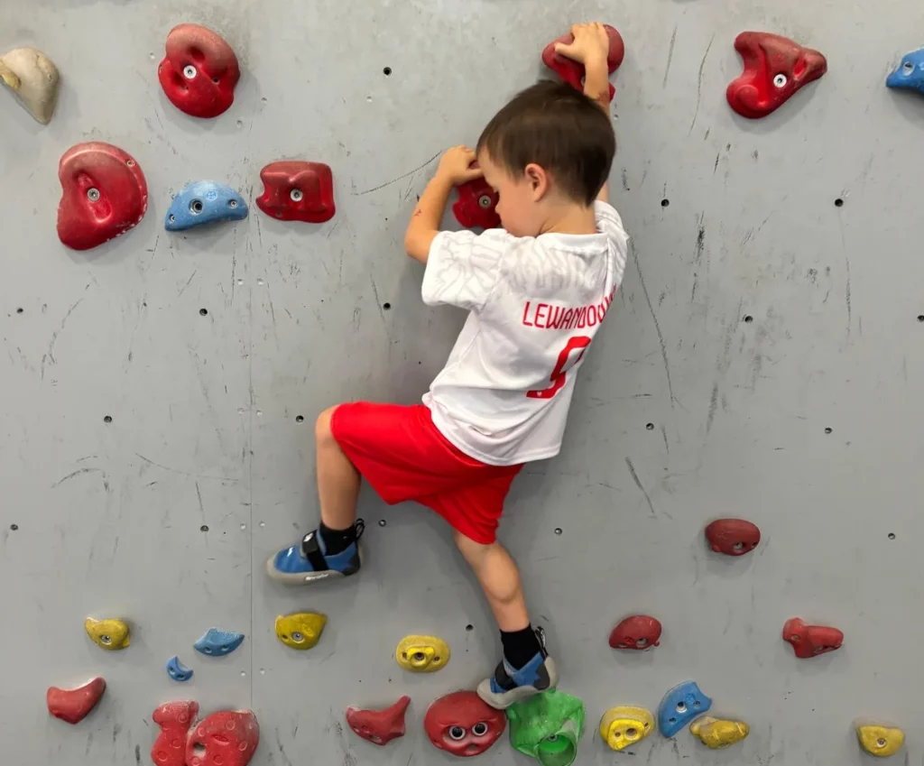 Clip and climb 3