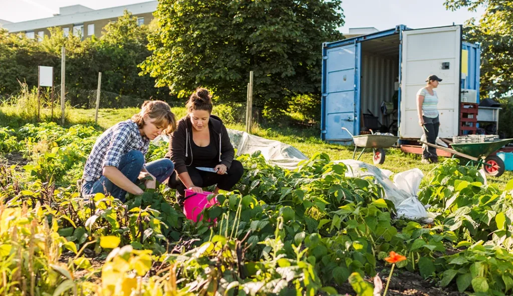 Allotment