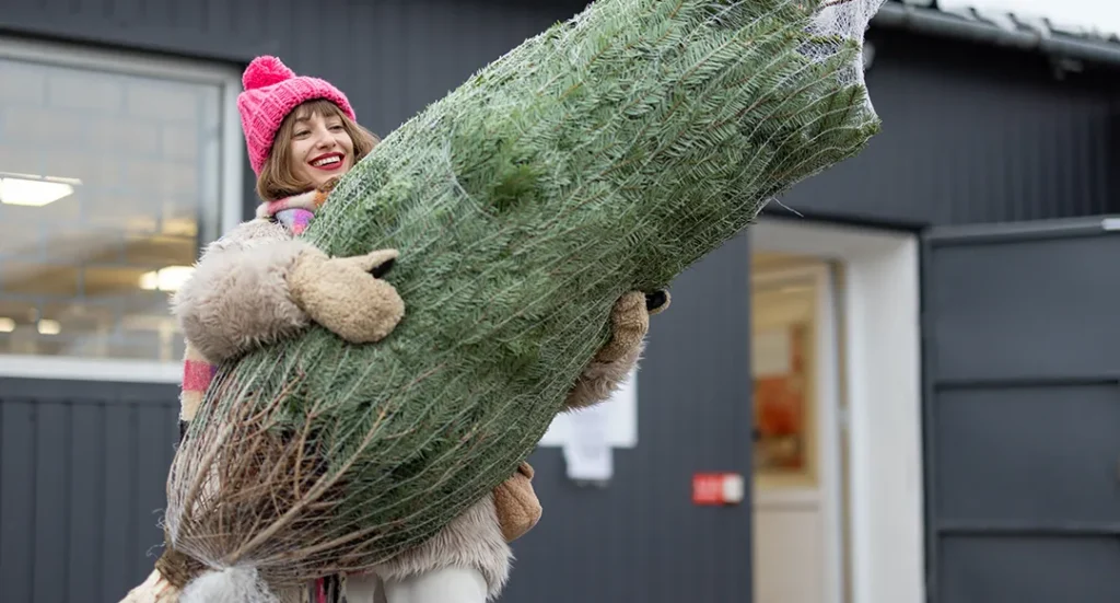 Carrying christmas tree