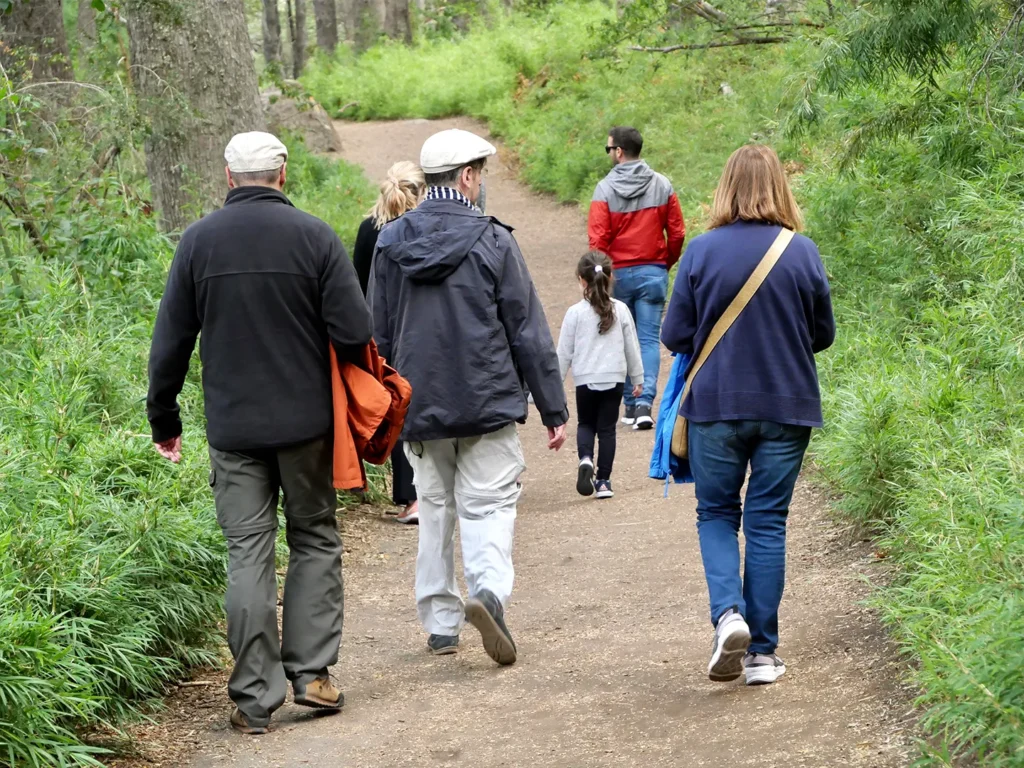 Step Into May: Celebrating National Walking Month 2025 2 Group of walkers